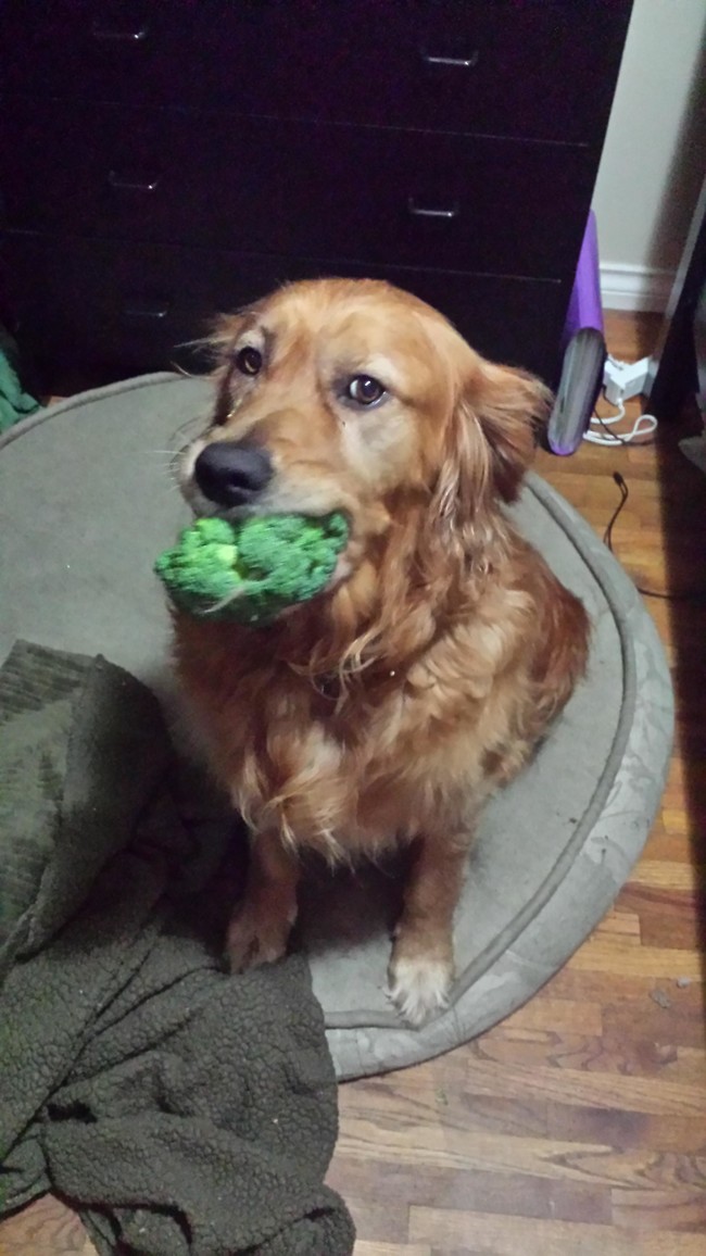 "You think this broccoli was too big to eat all at once? Don't care. So good."