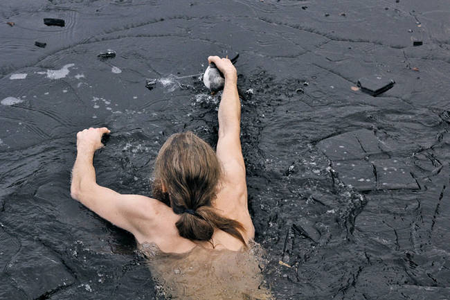 But the freezing water and ice were no match for Lars, who dove in after the duck.