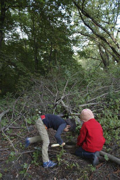 They ventured into the woods to find the proper materials for their beds.