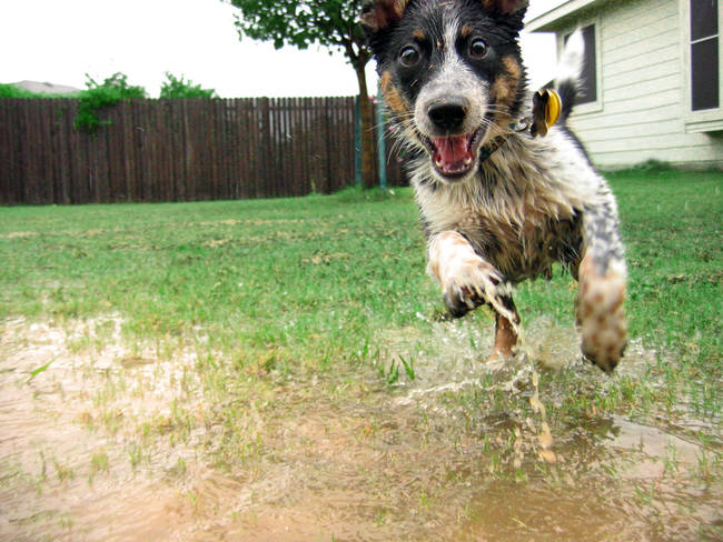 "Best. Bath. Evarrr."