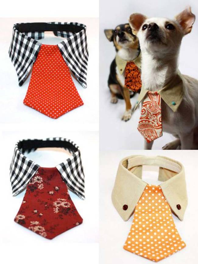 4. These animal <a href="https://www.sweetpeachblog.com/journal/2012/3/13/dog-ties.html" target="_blank">dress tie collars</a> are adorable and sophisticated.