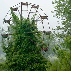 A ferris wheel frozen in time.