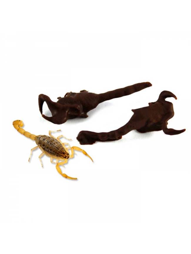 You can get a standard two-pack of chocolate covered scorpions as well.