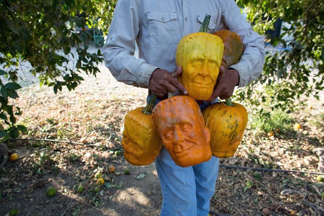 I present to you the "Pumpkinstein." It's a pumpkin shaped like a classic Frankenstein head, though it's modified a bit to prevent any lawsuits.