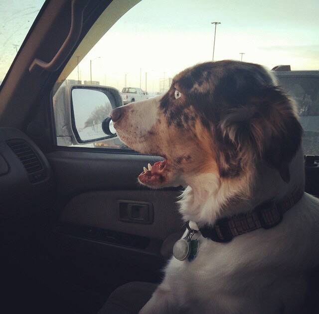 "WOW...the front seat is WAY better than the back."