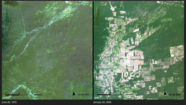 16.) Deforestation - Argentina