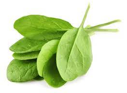 Spinach