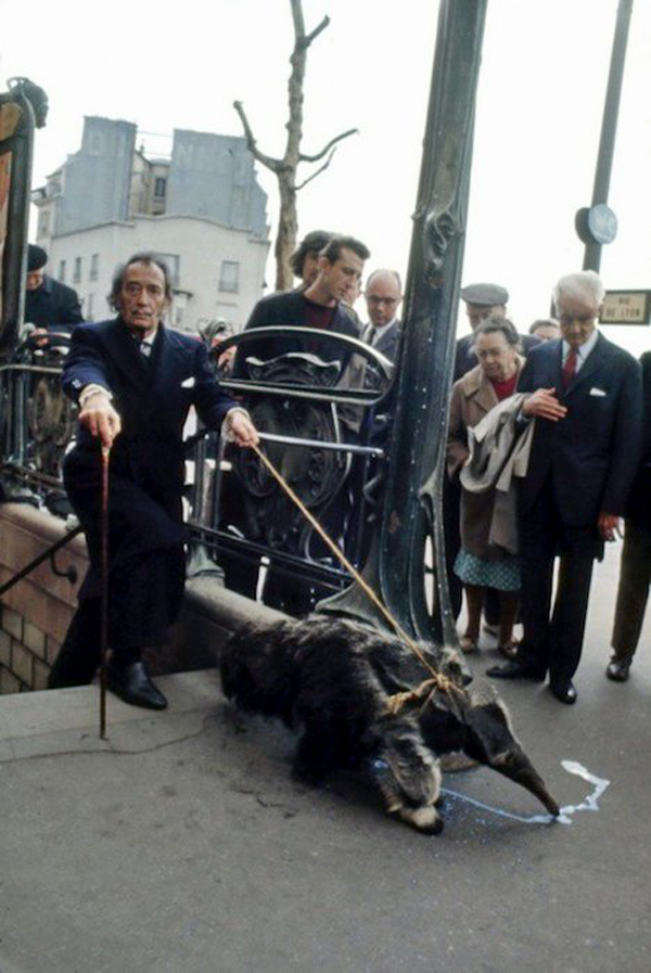 1.) Salvadore Dali and his pet anteaters.