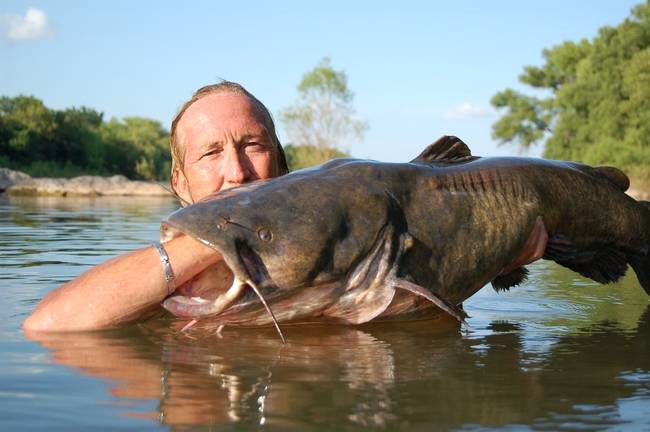 While it sounds like a simple technique, there is actually a lot of strategy that goes into noodling. A noodler goes underwater to depths ranging from only a few feet to up to twenty feet. They place their hand inside a discovered catfish hole. If all goes as planned, the catfish will swim forward and latch onto the fisherman's hand, usually as a defensive maneuver, in order to escape the hole. If the fish is particularly large, the noodler can hook the hand around its gills.