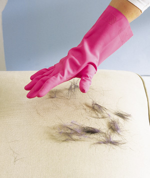 21. Have a shedder? Wet a rubber glove to get the fur off furniture.