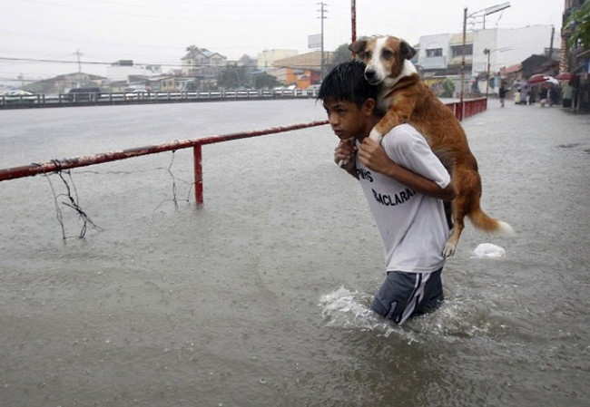 11.) This young Filipino boy carried his pet dog on his shoulders during monsoon season.