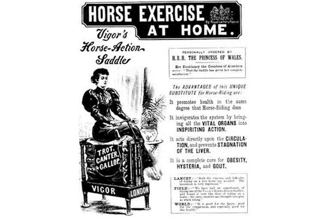 1.) Horse Exercise Machine