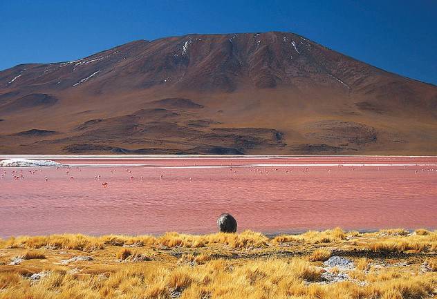 Laguna Colorada, Bolivia