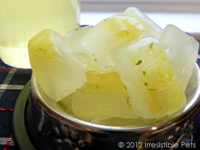 Chicken Broth Ice Treats