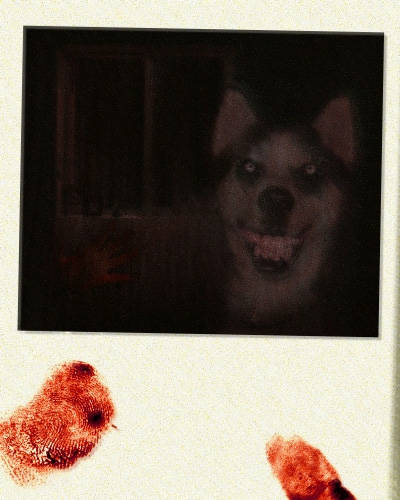 <a href="https://creepypasta.wikia.com/wiki/Smile_Dog" target="_blank">Smile Dog</a> - This creepypasta involves a photo of a dog that apparently makes anyone who sees it go insane unless they spread it. Think twice before looking at a photo someone sends you of their "smiling dog."