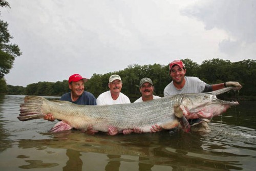 This alligator gar (which is apparently a name for a fish) was shot with a bow and arrow by John Paul Morris, son of the CEO of Bass Pro Shop.  What the hell has your son ever done, Michael Sports-Authority Sr.?