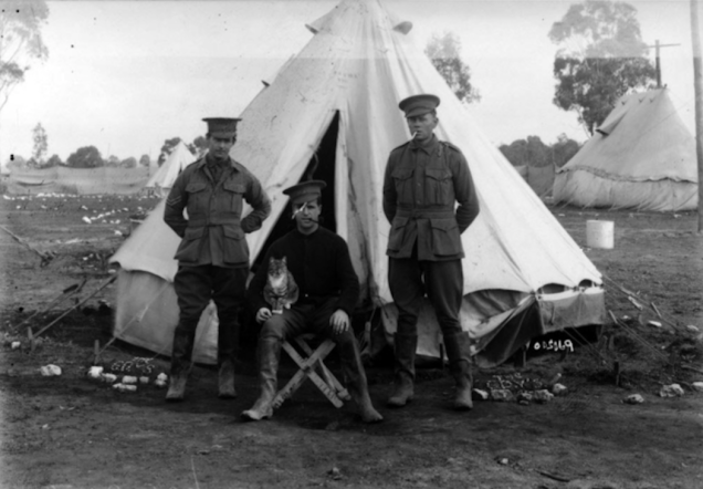 4.) Company O'Connor Men pose for a portrait with their cat.