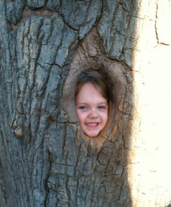 8. In a tree.