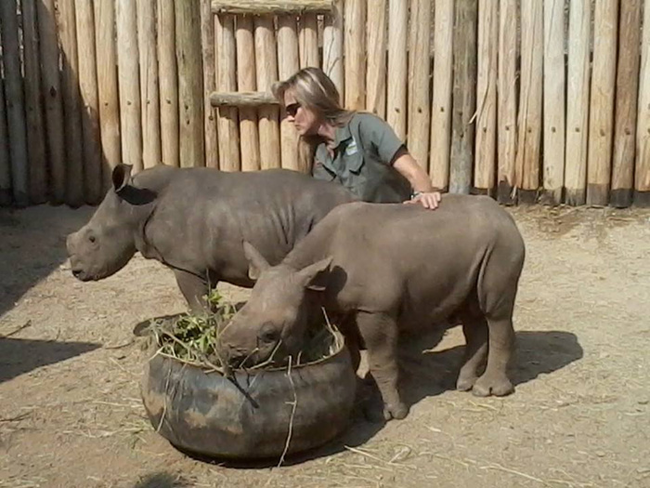 They sent her to the Care For Wild Africa’s wildlife rehabilitation center, joined by others orphans just like her.