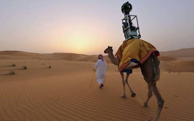 Here is one of the camels with the Street View camera strapped on its back.