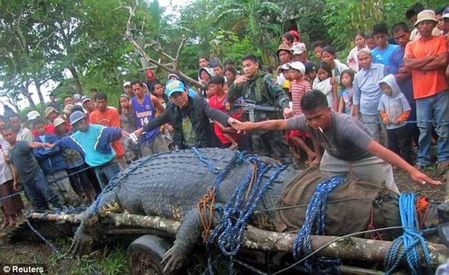 Rather than killing the crocodile, the villagers decided to donate the animal to a new eco-tourism park in neighboring Agusan. After, of course, they had their chance to take pictures with it.