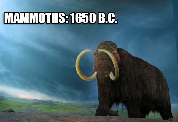 14.) Mammoths were alive when the Giza Pyramids were being built: The Great Pyramid of Giza had existed for about 1,000 years when the last wooly mammoth died in approximately 1650 B.C.