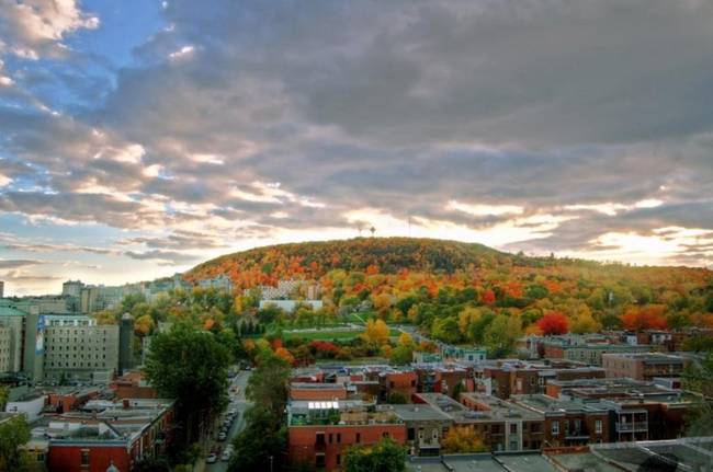 Mont Royal, Montreal, Quebec, Canada