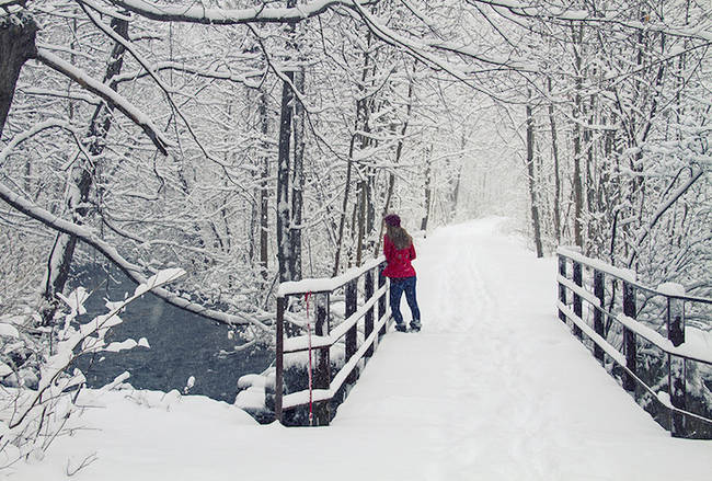 Long Bridge, Skaneateles, New York, U.S.A.