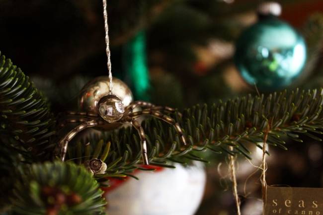 As the family slept, a group of spiders, hearing about their plight, decided to decorate the tree themselves. They spun their silk webs and made the tree beautiful.