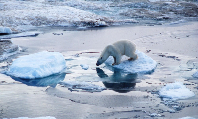 20.) Glacier Melt - Arctic Circle