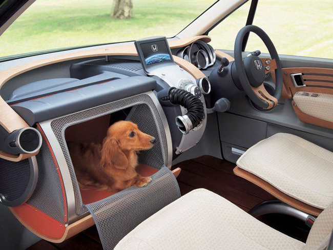 11.) Car Pet Compartment