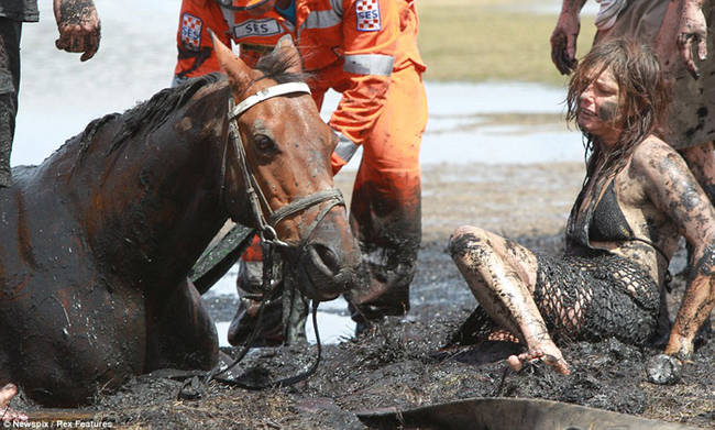 They tried several different types of equipment and even had a helicopter on standby. Nothing would budge in the mud.