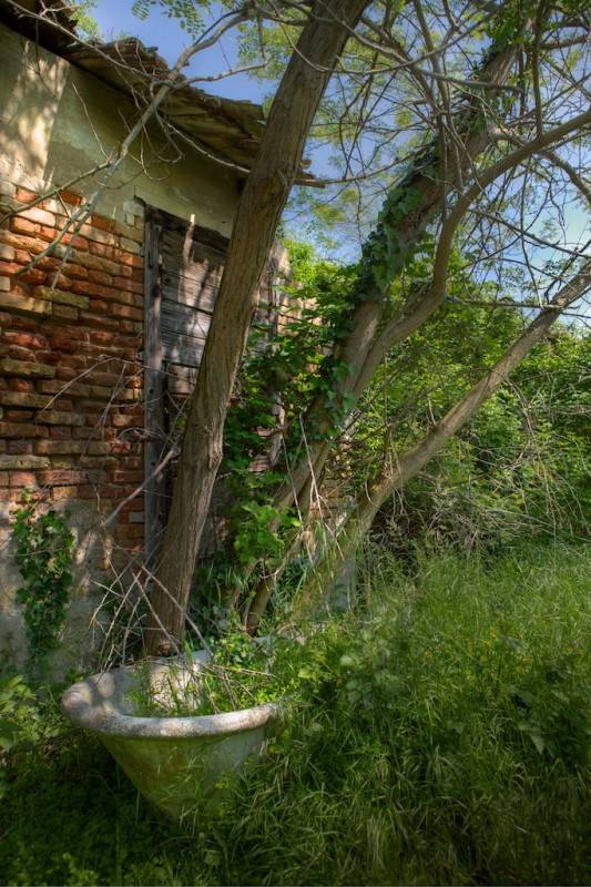 While you can't see the bones of those who were left for dead like you can on other nearby islands, trust that they're hidden beneath the heavy overgrowth that covers so much of the island.