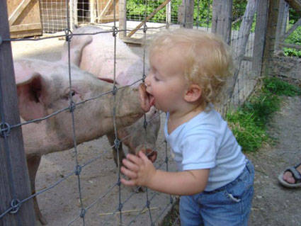 And this little piggy simply wants some kisses.