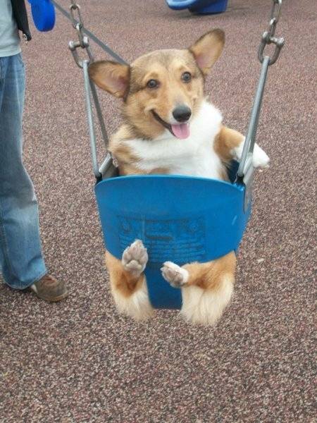 The swings are her favorite part of the park.