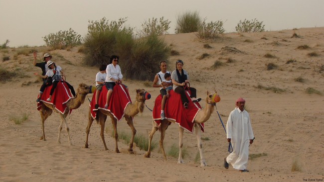 4.) Camel - Egypt, Australia, China