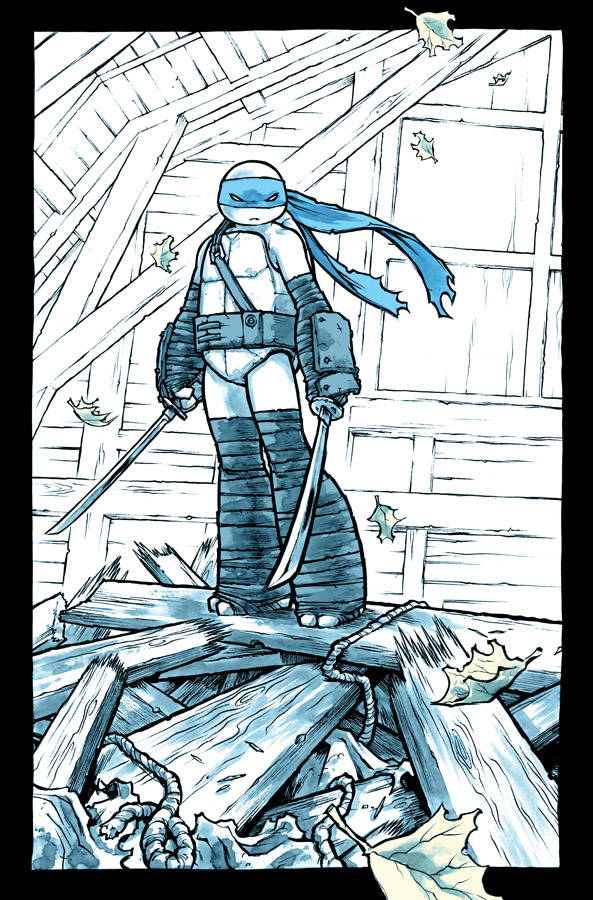 Campbell also illustrates for a series of <a href="https://www.greenoblivion.com/comics/tmnt.html">Teenage Mutant Ninja Turtles</a> comics, lending his unique style to the iconic series.