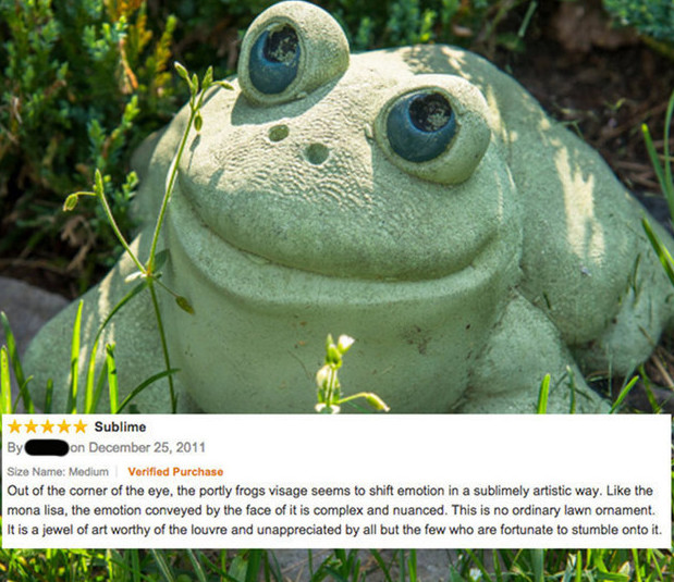 This creepy frog lawn ornament got a unique review.