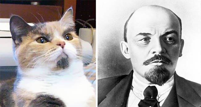 Lenin's cat...well, not really.