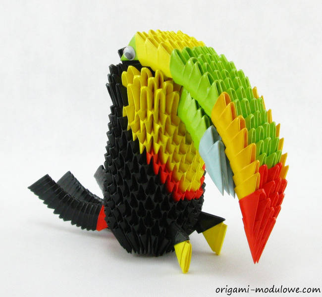 Toucan