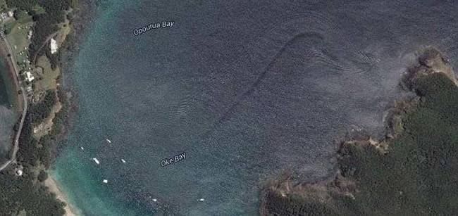 A giant wake that looks like a sea serpent in New Zealand.