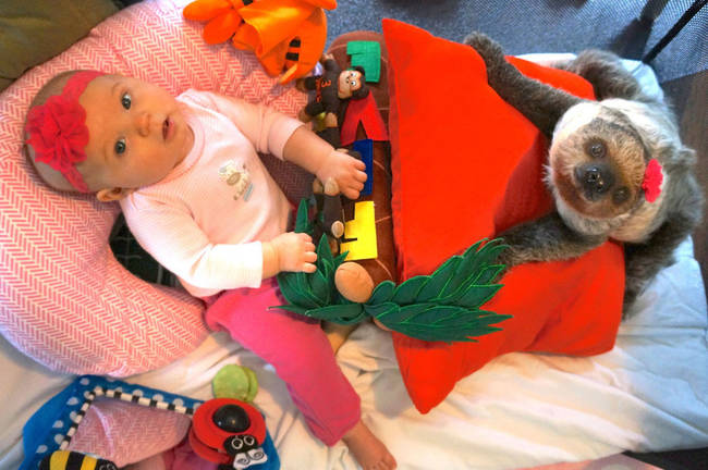 The two of them really do love hanging out, and do tons of activities together. Here they are playing with toys.