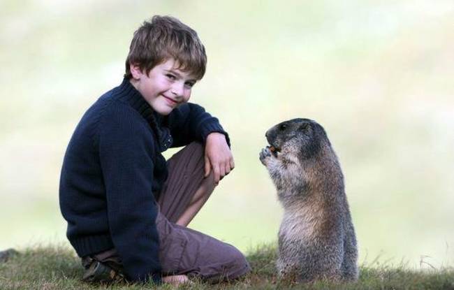 Matteo says he could "spend hours" with the marmots and clearly enjoys the time they do get to spend together.