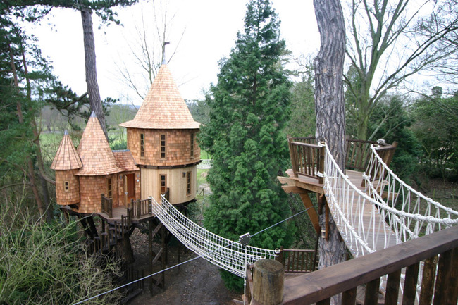 1. The tree house is made up of two sections.