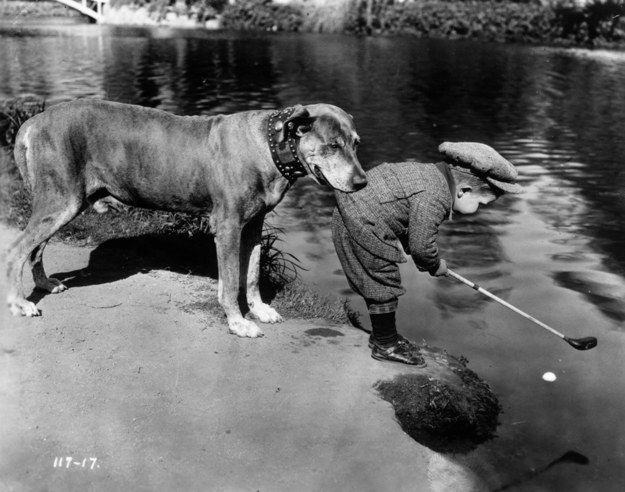 9.) This pup was hoping for a hole in one.