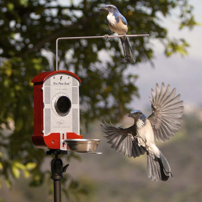 27.) A bird feeder with a built in camera.