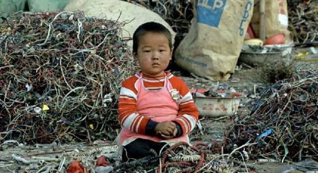 Sitting among piles of industrial garbage.