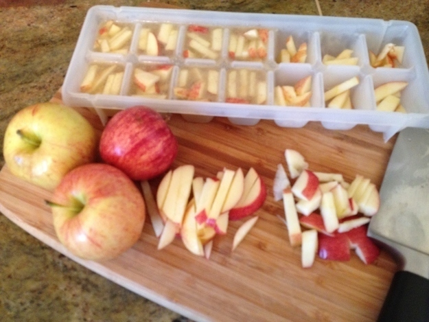 33. Here's another inexpensive treat: cut up apples in chicken broth and freeze them in an ice cube tray.