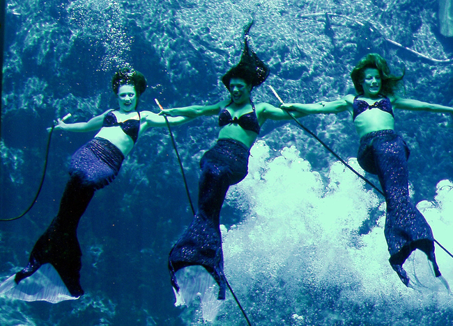 Weeki Wachee Springs - Spring Hill, Florida