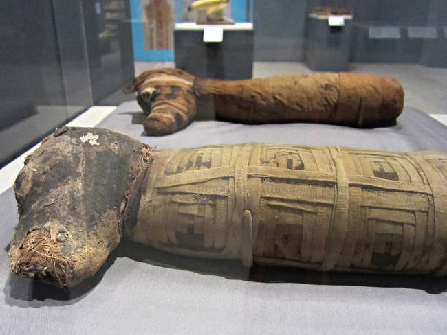 Two dog mummies, wrapped in a decorative style, may have been intended for Anubis, god of mummification, funerals, and death. 510-230 BCE.